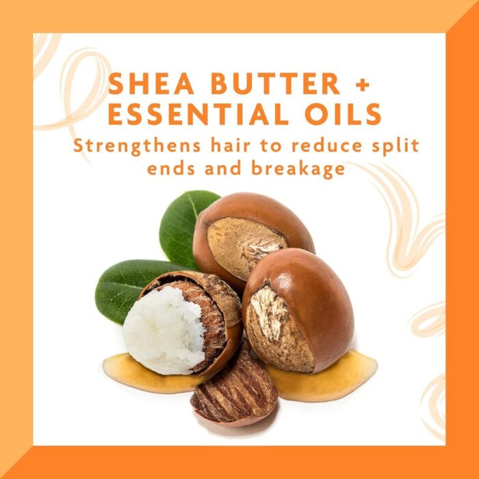 Cantu Shea Butter Daily Oil Moisturizer 384 Ml Pr694 023 - Image 4
