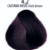 4.2 CASTANO IRISÉE Irisée brown