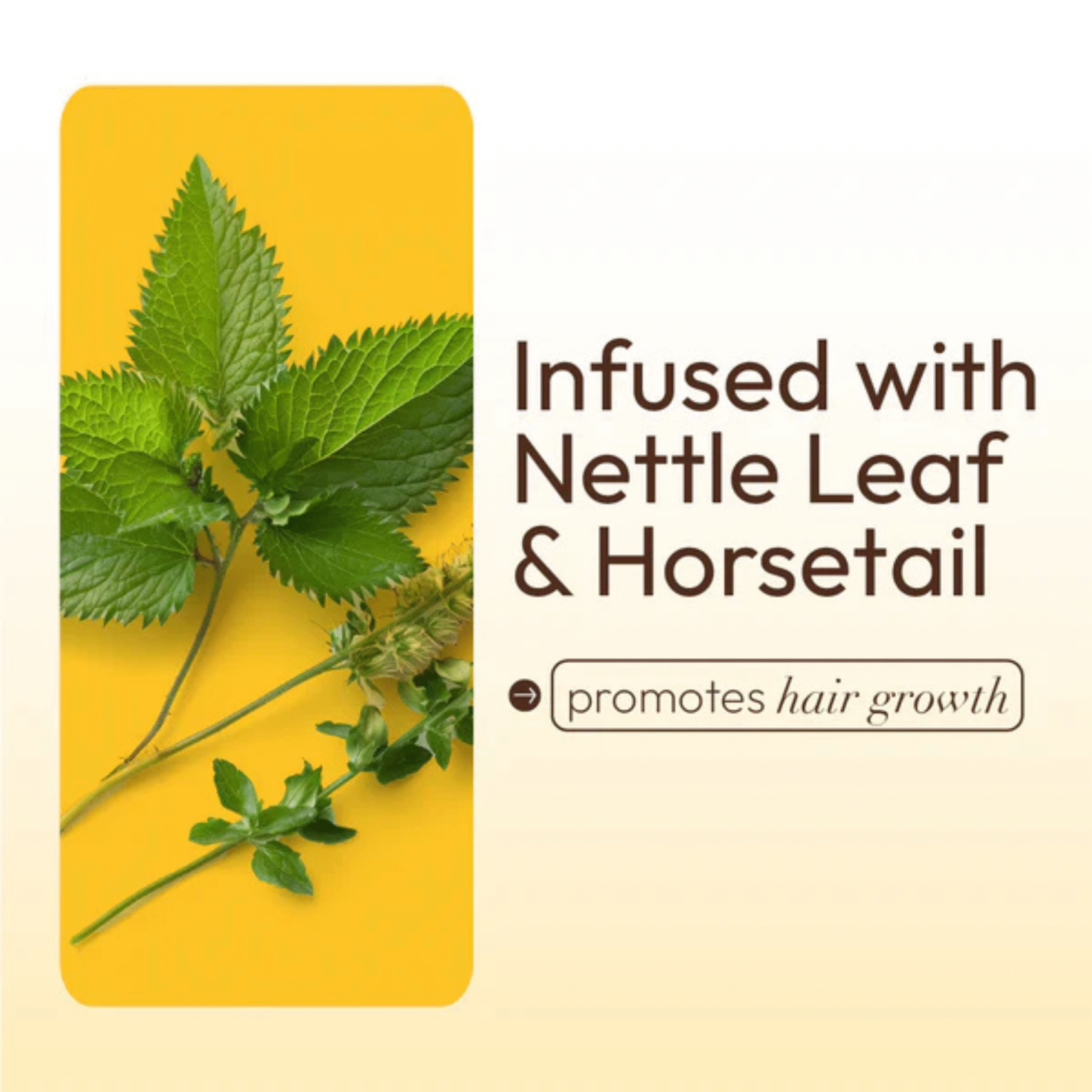 ORS HAIRestore Hair Mayonnaise Protein-Rich Treatment 16.0oz - Image 7