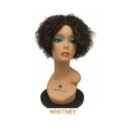 Whitney Wig 100% Human Hair Extension